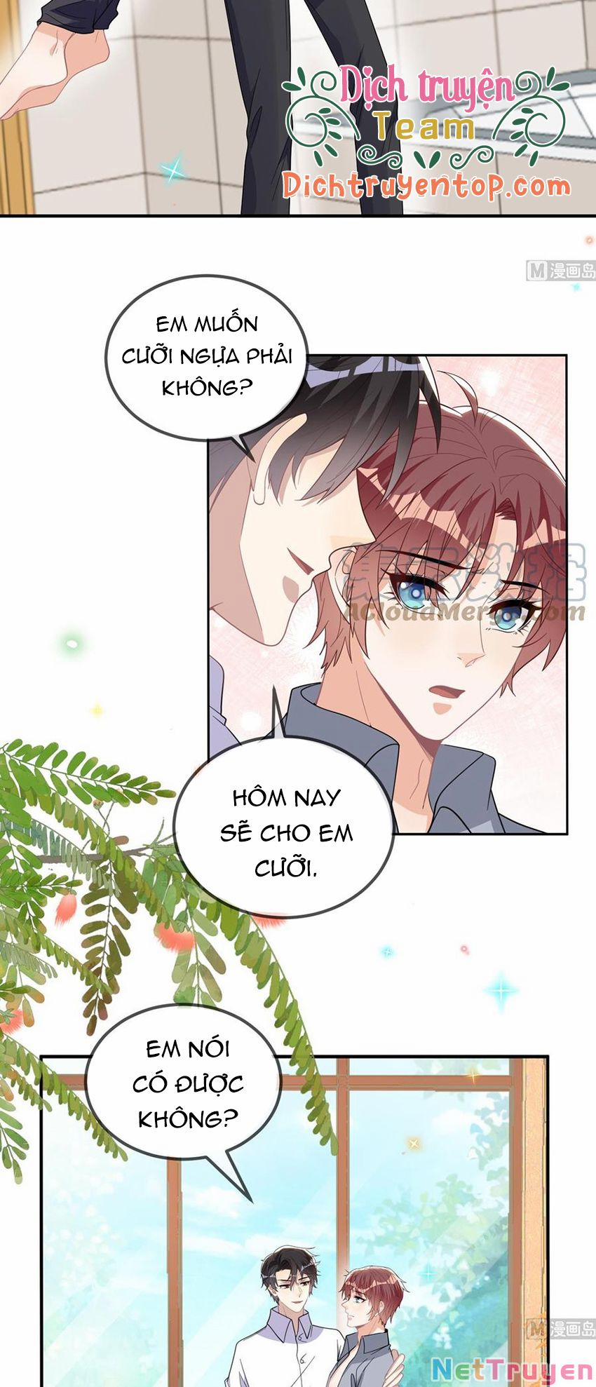 Ảnh Đế Làm Loạn Đòi Ly Hôn 95 trang 1