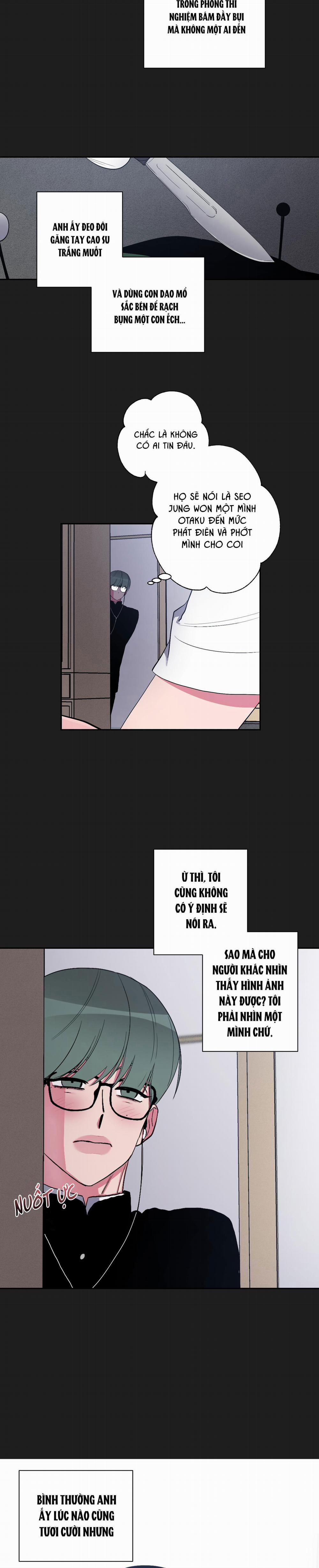 Anh, Hình Như Em Tăng Cân Rồi 28 trang 3