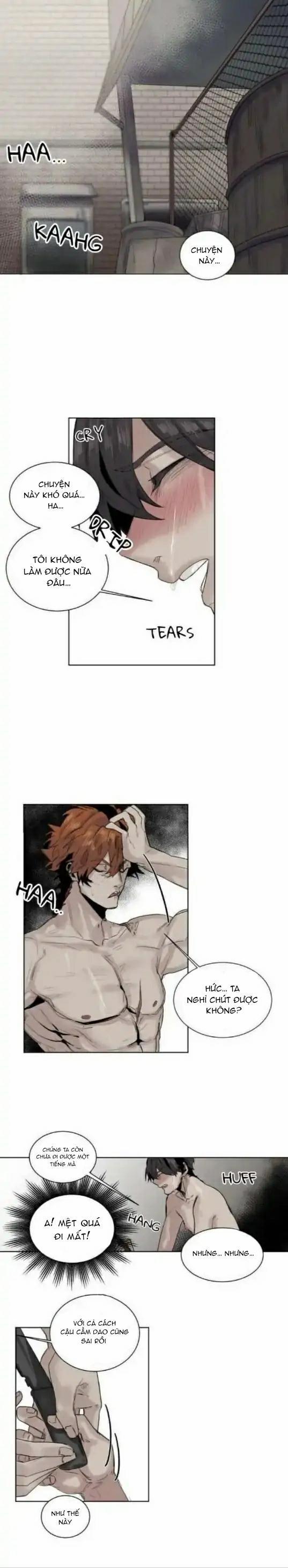 Ánh Nhìn Của Quạ 13 trang 0