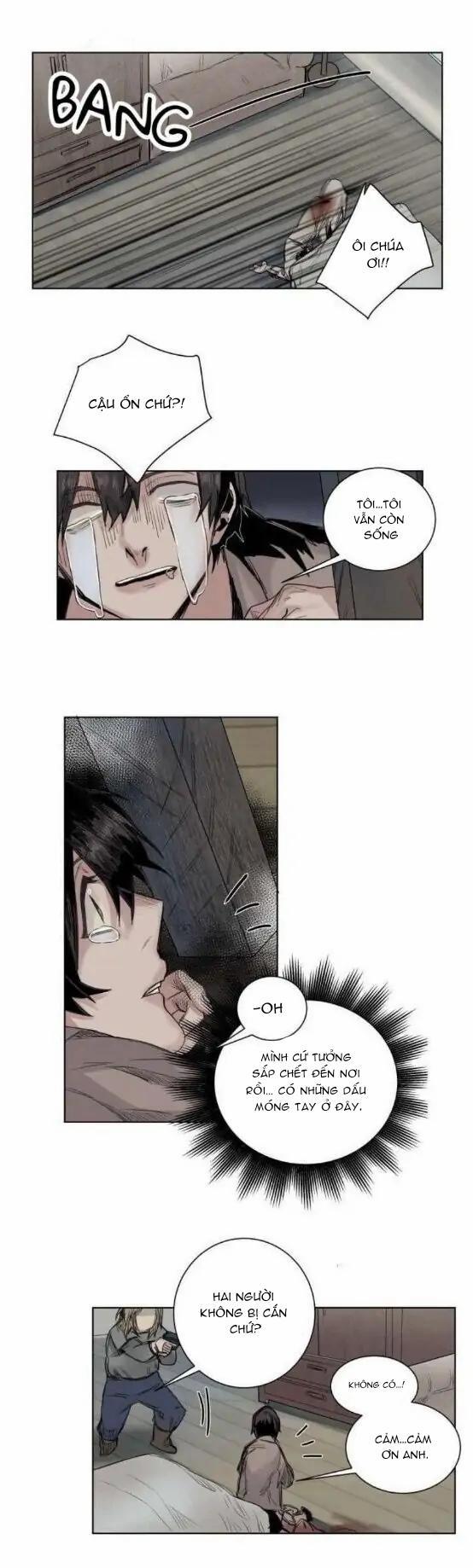 Ánh Nhìn Của Quạ 17 trang 0