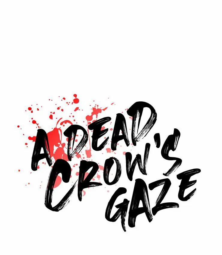 Ánh Nhìn Của Quạ 40 trang 0