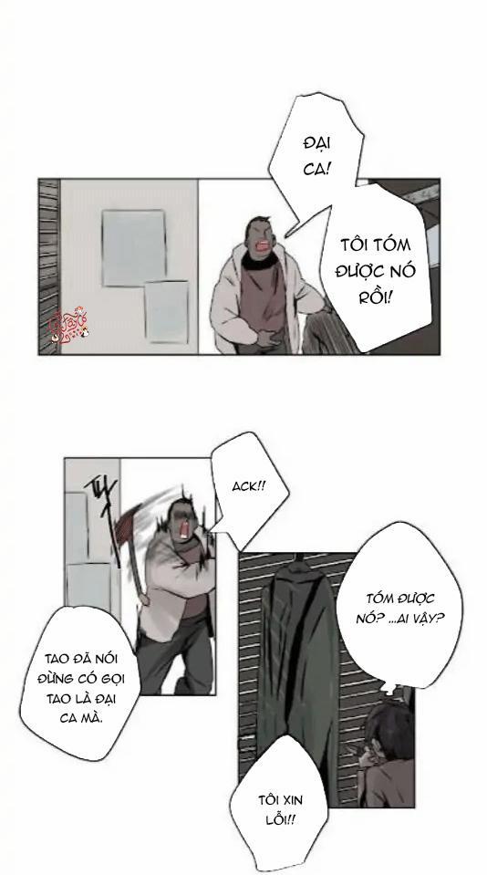 Ánh Nhìn Của Quạ 5 trang 21