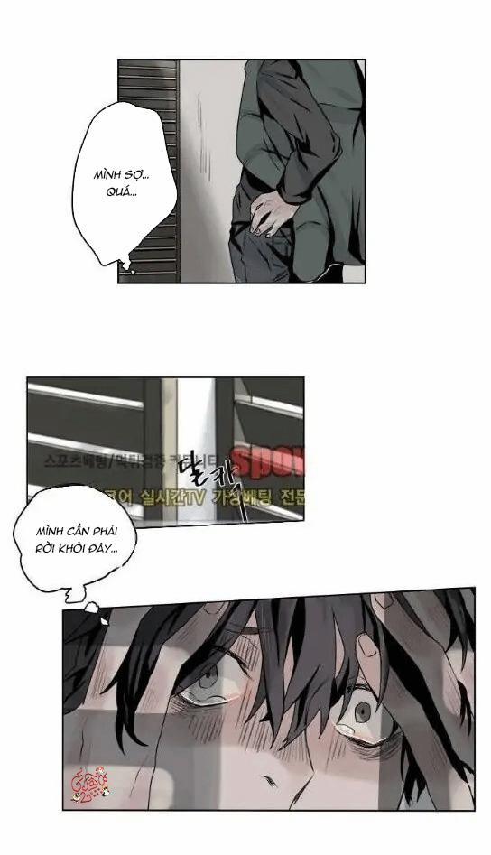 Ánh Nhìn Của Quạ 5 trang 5