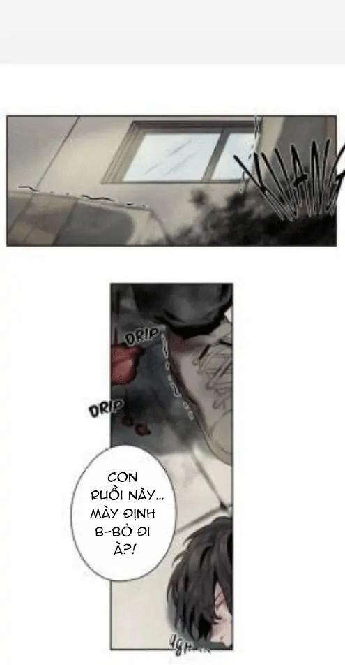 Ánh Nhìn Của Quạ 8 trang 4