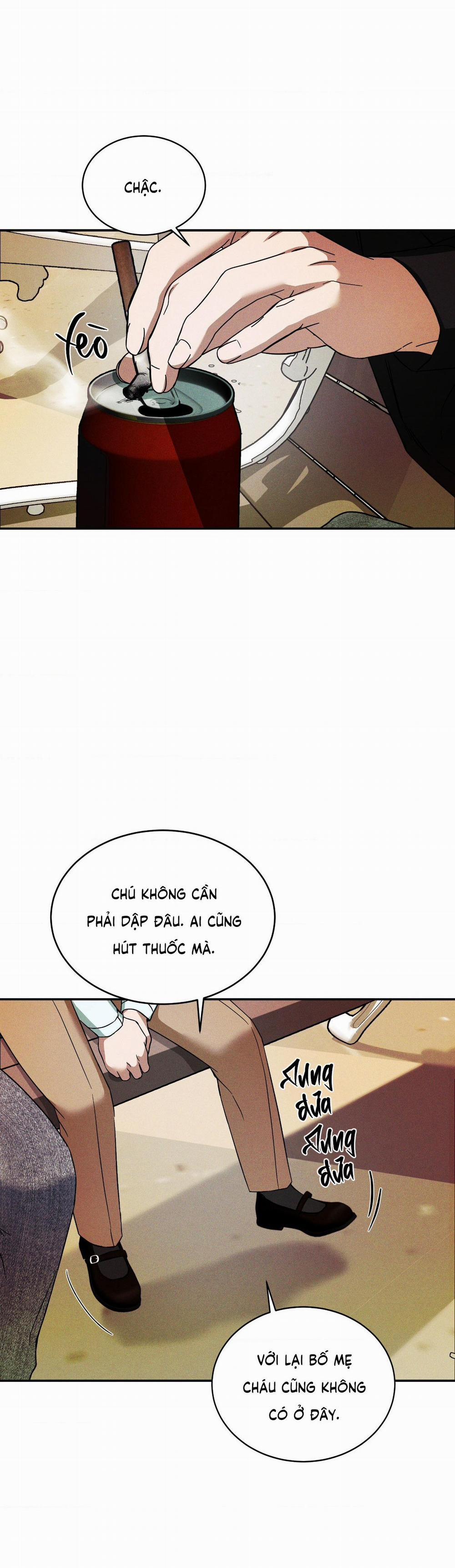 Ánh Nhìn 10 trang 5