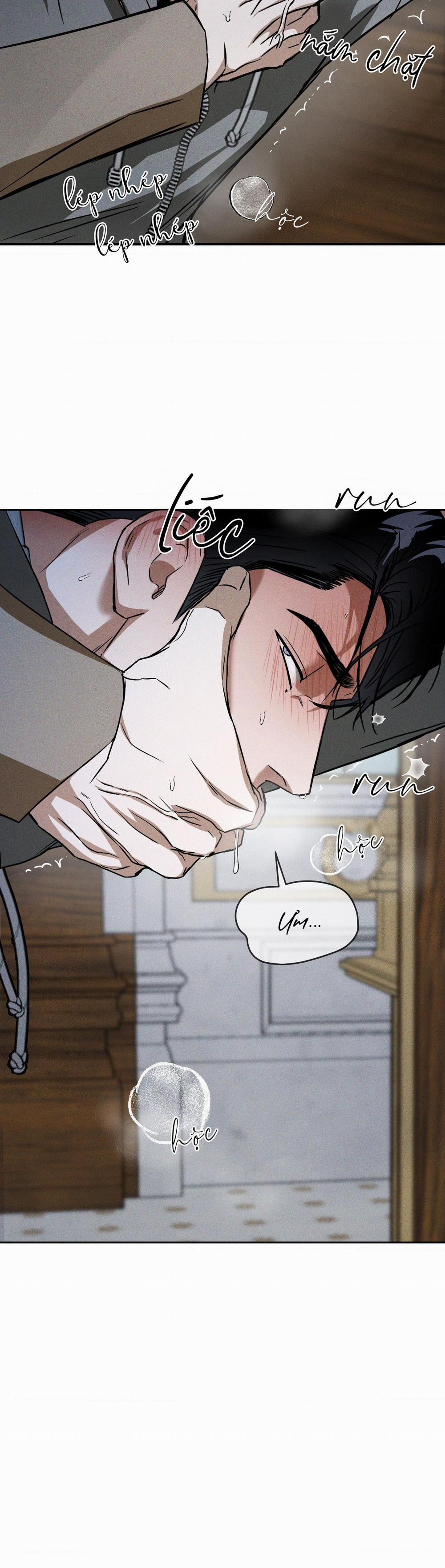 Ánh Nhìn 15 0 trang 13