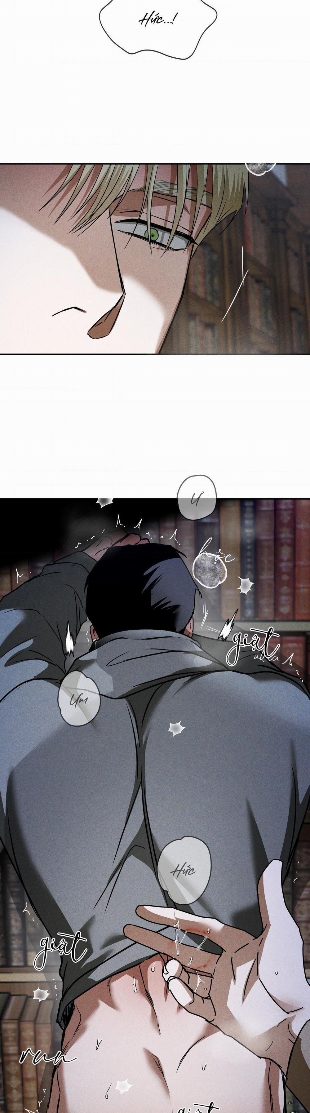 Ánh Nhìn 15 0 trang 17