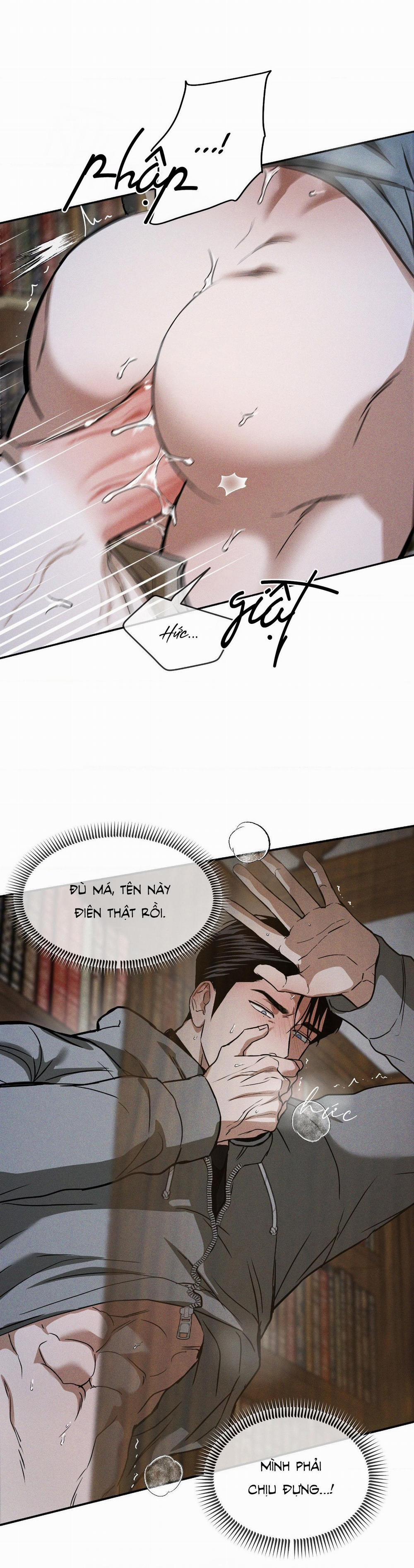 Ánh Nhìn 15 0 trang 8