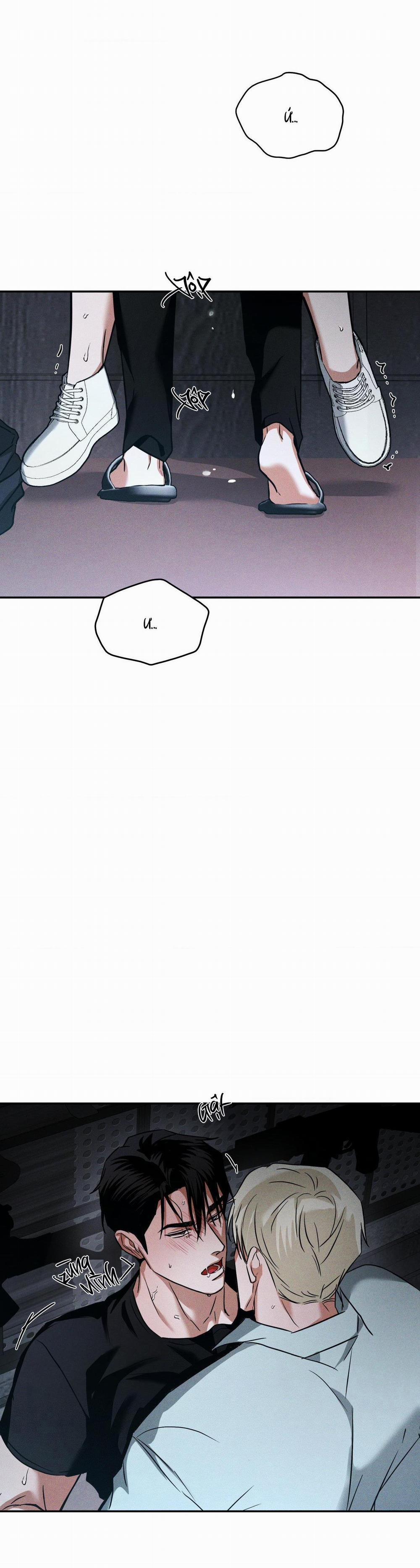 Ánh Nhìn 8 trang 29