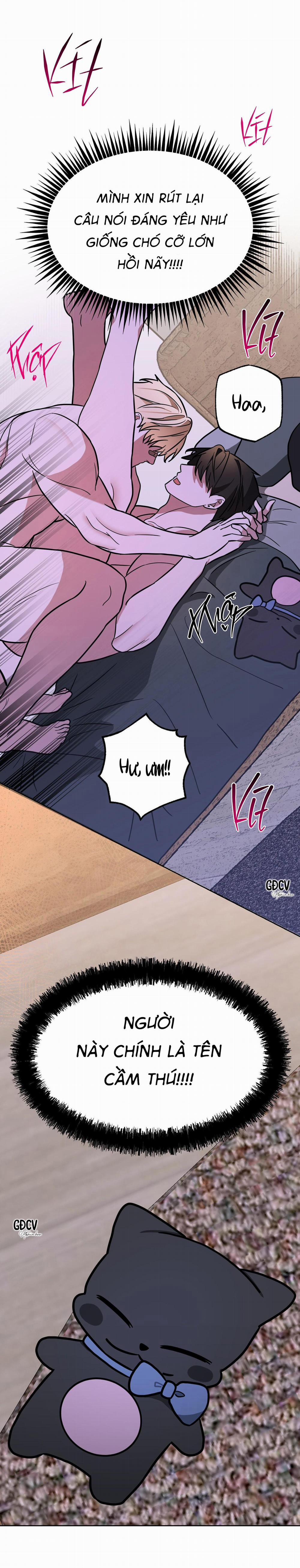 ANH ƠI, KHÔNG THỂ LÀ EM SAO? 10 0 trang 24