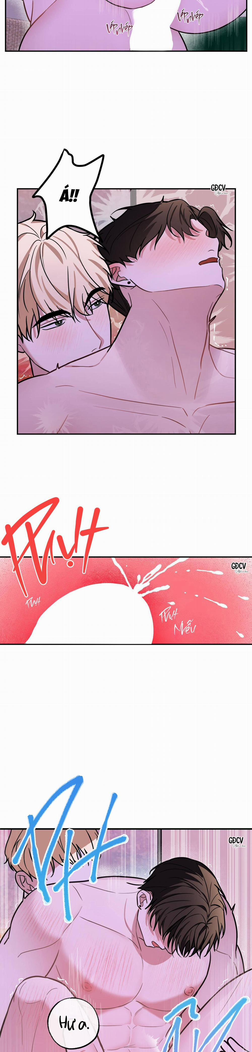 ANH ƠI, KHÔNG THỂ LÀ EM SAO? 7 0 trang 11