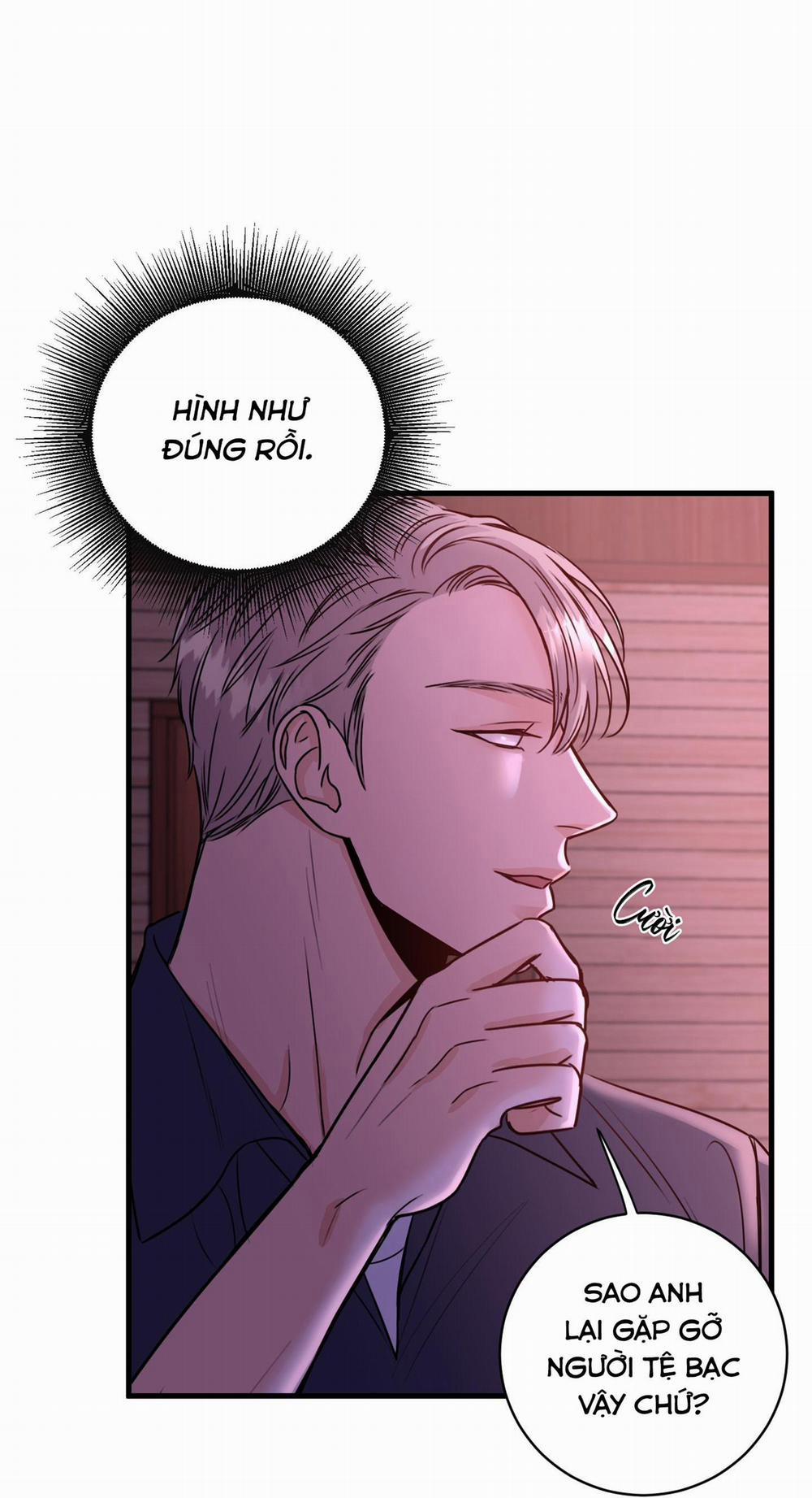 ANH SẼ PHẢI HỐI HẬN THÔI 11 trang 24