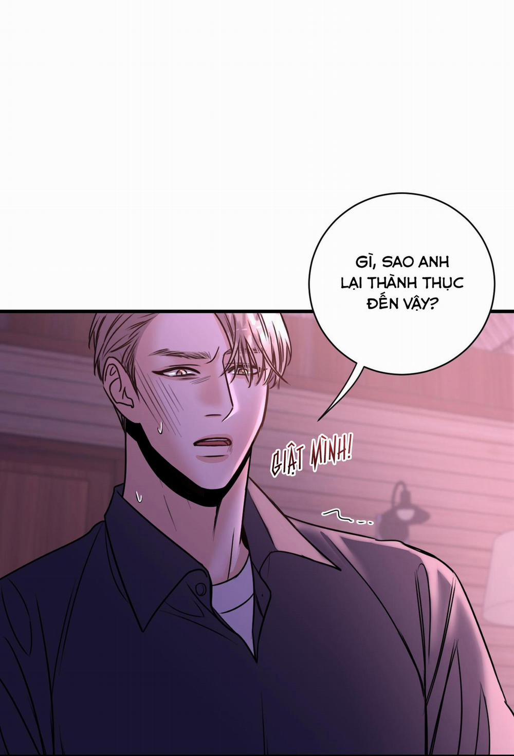 ANH SẼ PHẢI HỐI HẬN THÔI 11 trang 43