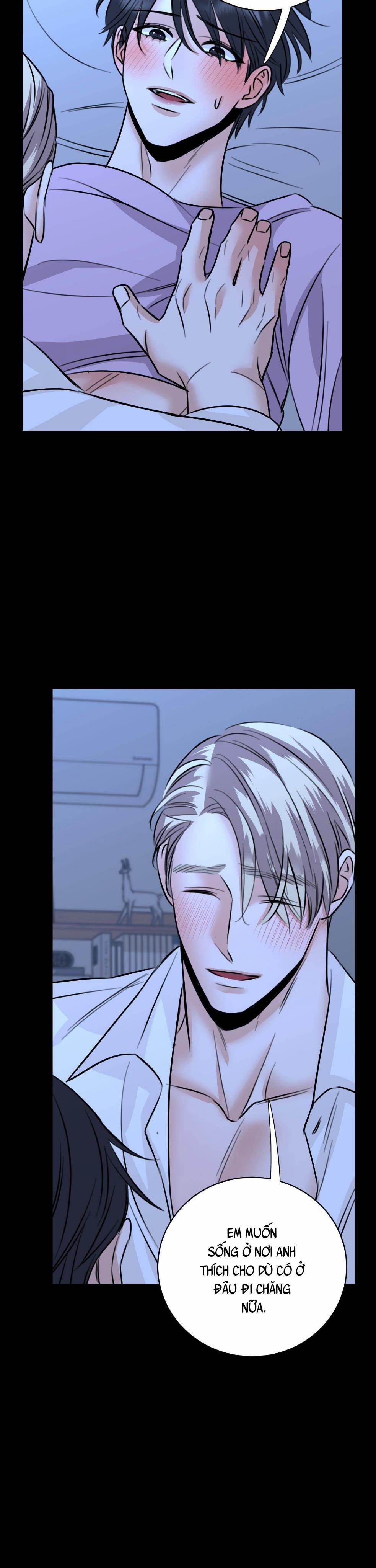 ANH SẼ PHẢI HỐI HẬN THÔI 25 trang 13