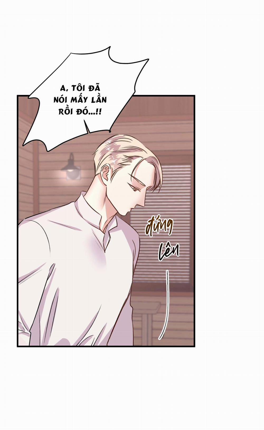 ANH SẼ PHẢI HỐI HẬN THÔI 9 trang 14