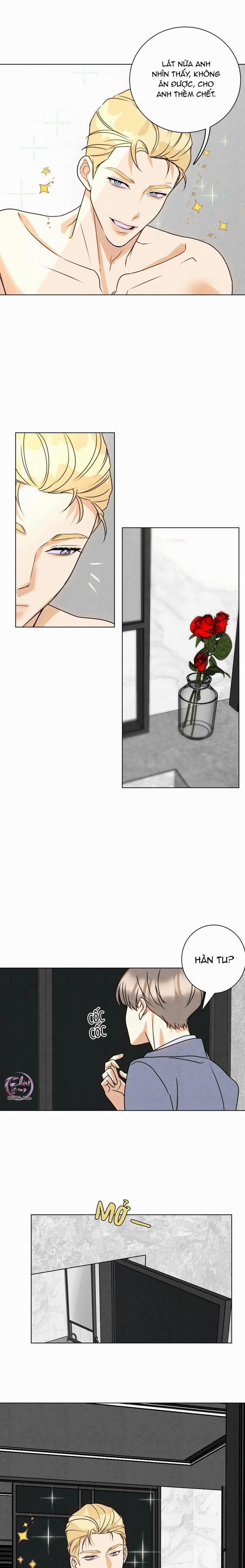 Anh Trai Rẻ Tiền Của Tôi 48 trang 1