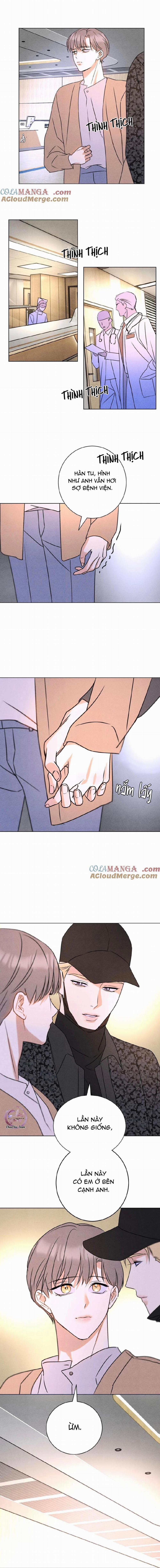 Anh Trai Rẻ Tiền Của Tôi 49 trang 8