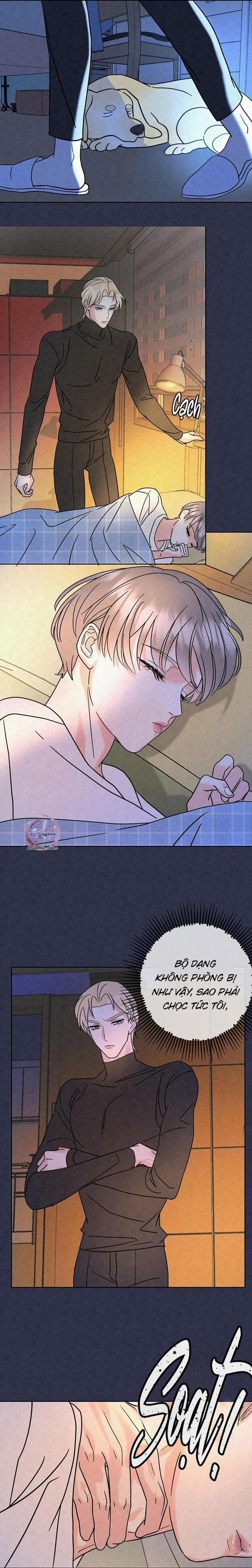 Anh Trai Rẻ Tiền Của Tôi 5 trang 5
