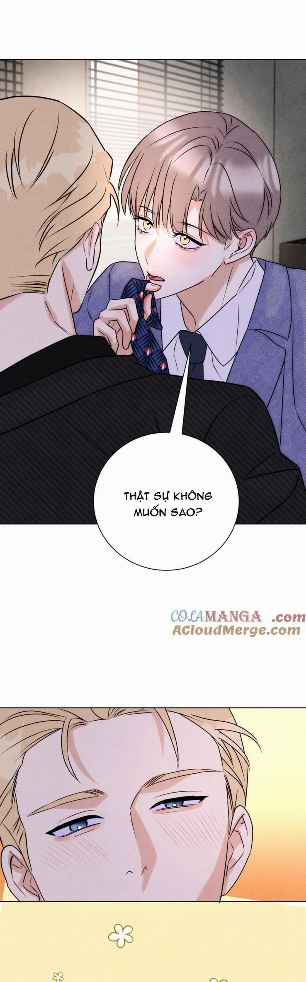 Anh Trai Rẻ Tiền Của Tôi 51 trang 18