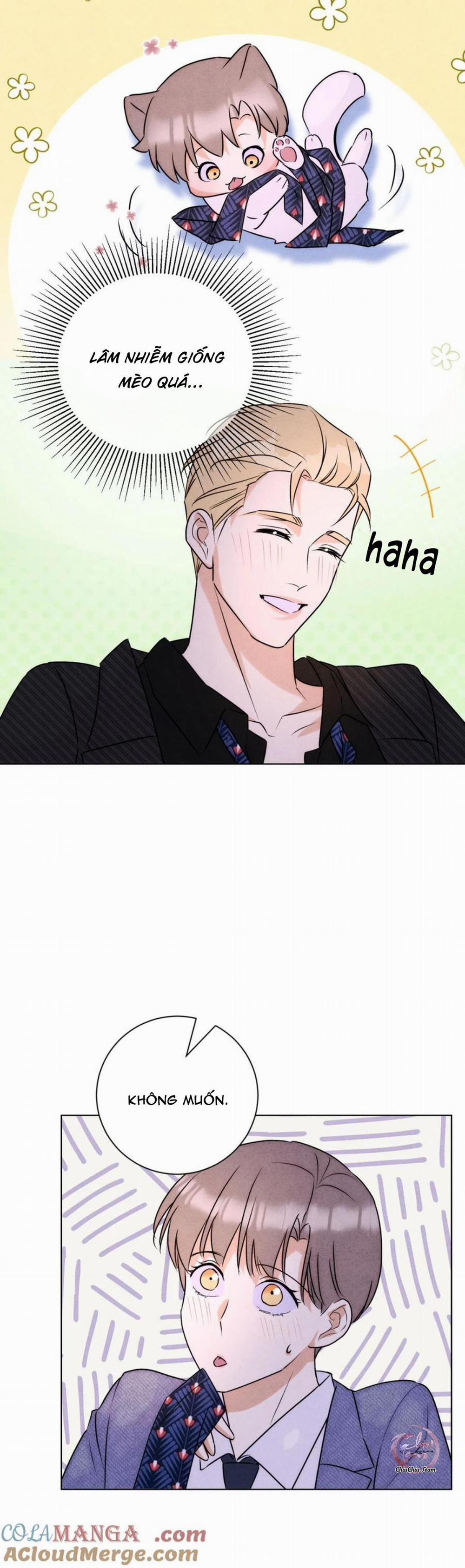 Anh Trai Rẻ Tiền Của Tôi 51 trang 19