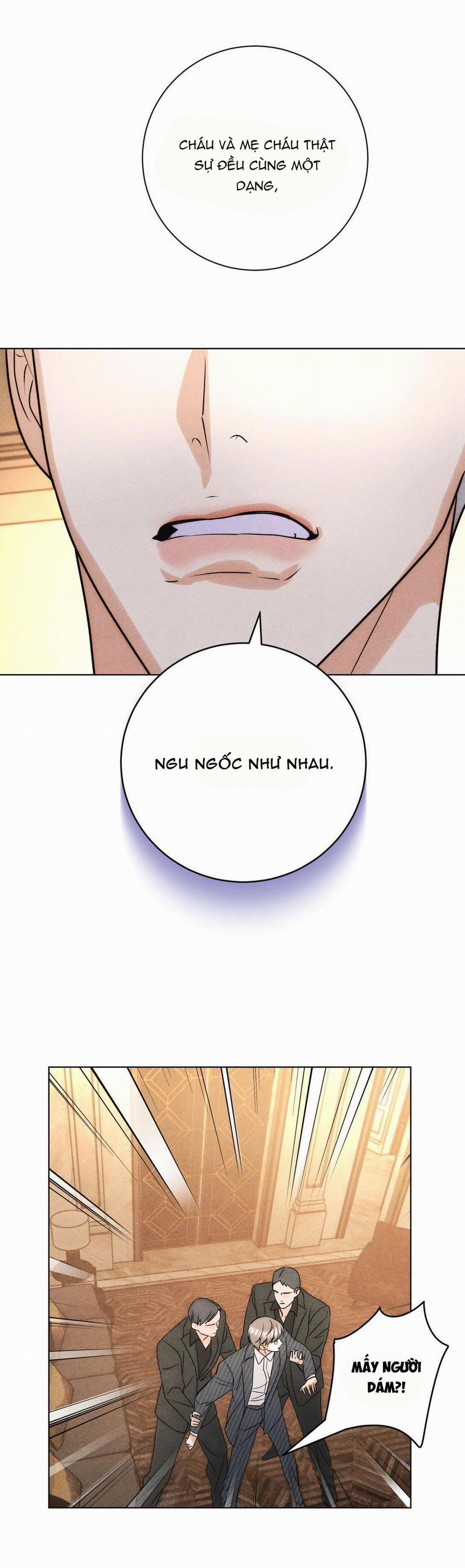 Anh Trai Rẻ Tiền Của Tôi 54 trang 5