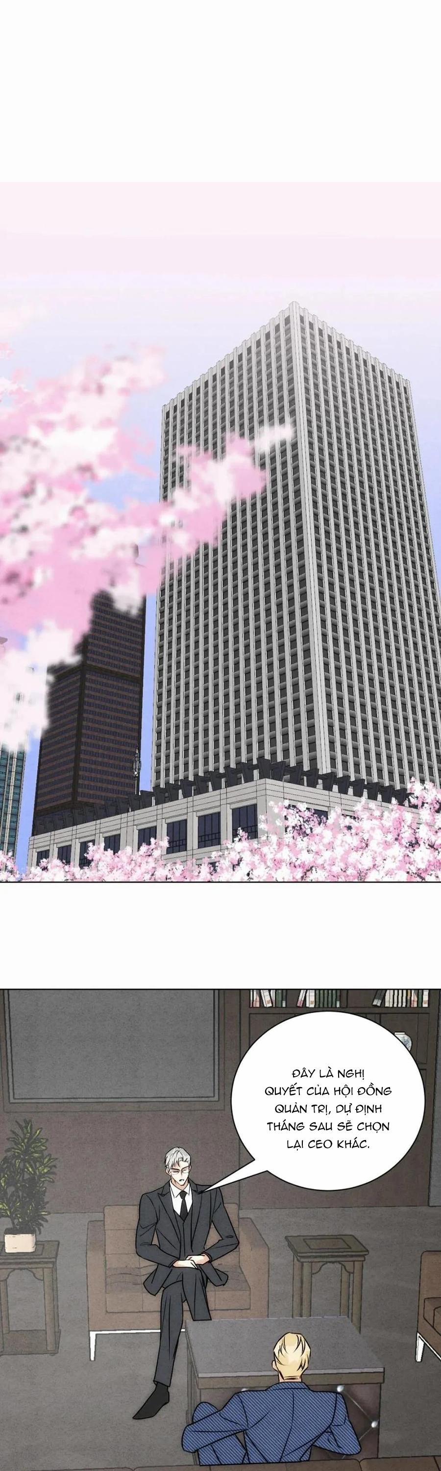 Anh Trai Rẻ Tiền Của Tôi 55 trang 19