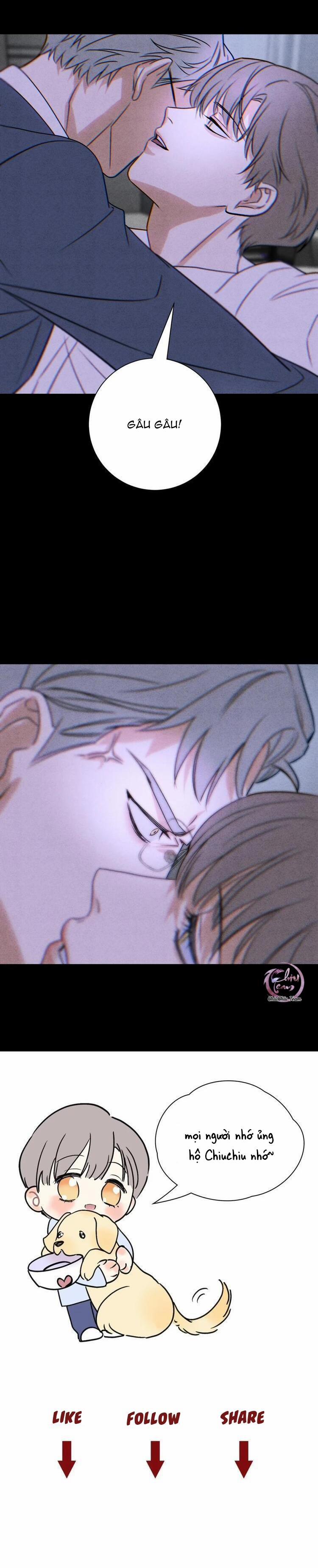 Anh Trai Rẻ Tiền Của Tôi 56 trang 17