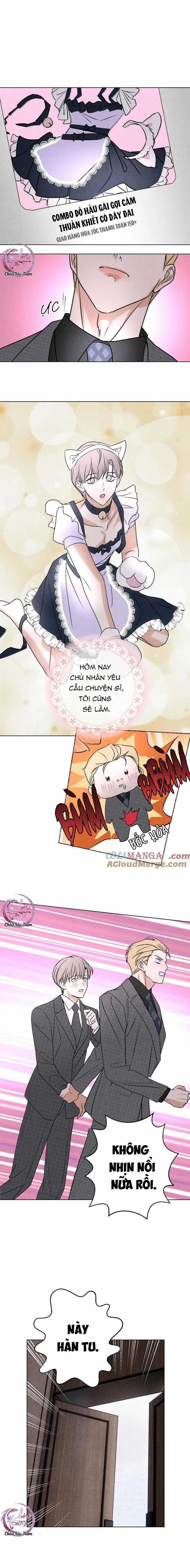 Anh Trai Rẻ Tiền Của Tôi 59 trang 12