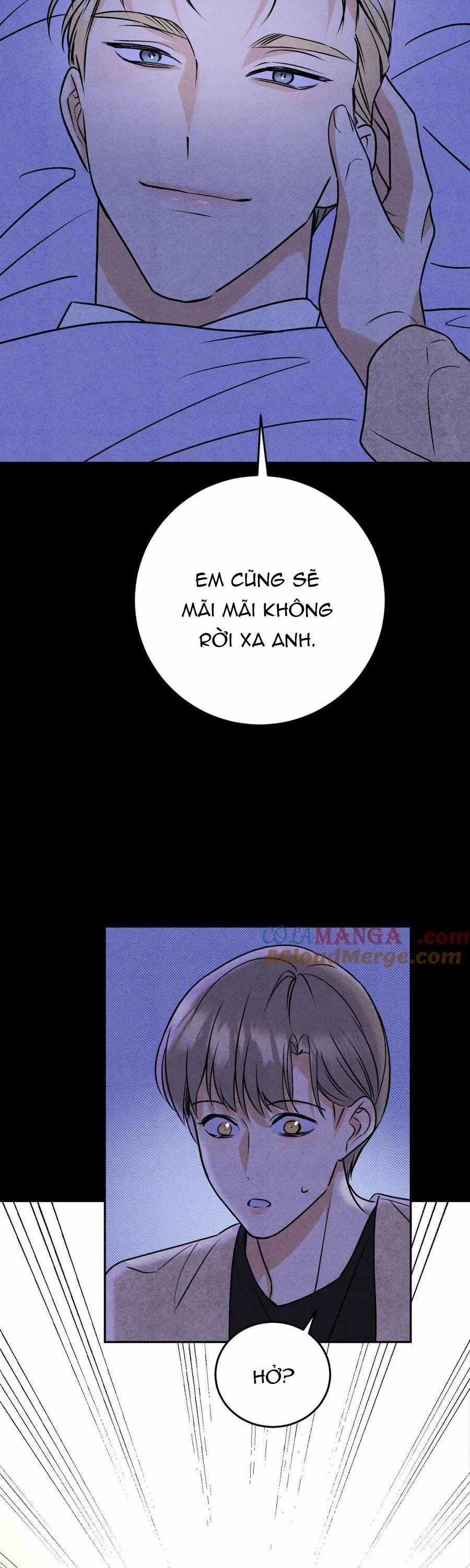 Anh Trai Rẻ Tiền Của Tôi 65 trang 17