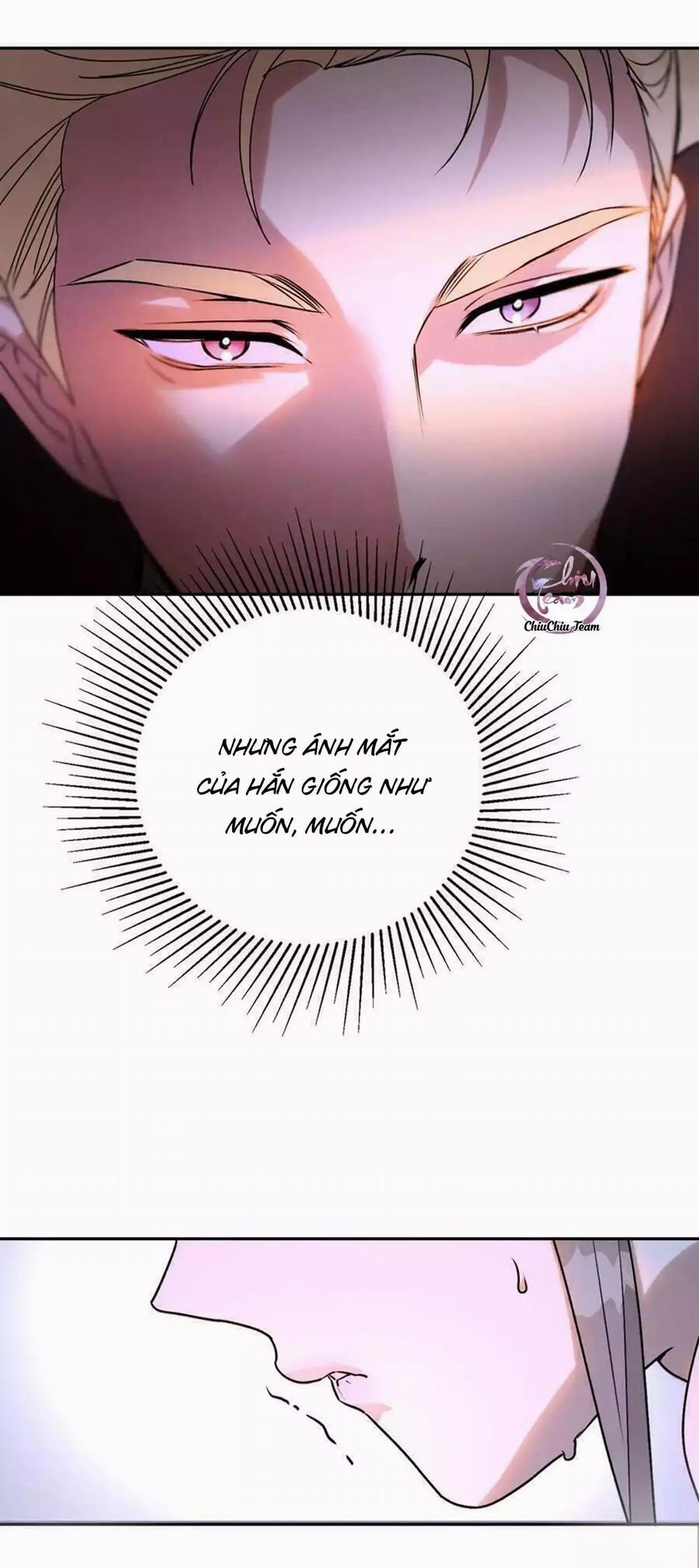 Anh Trai Rẻ Tiền Của Tôi 66.2 trang 17