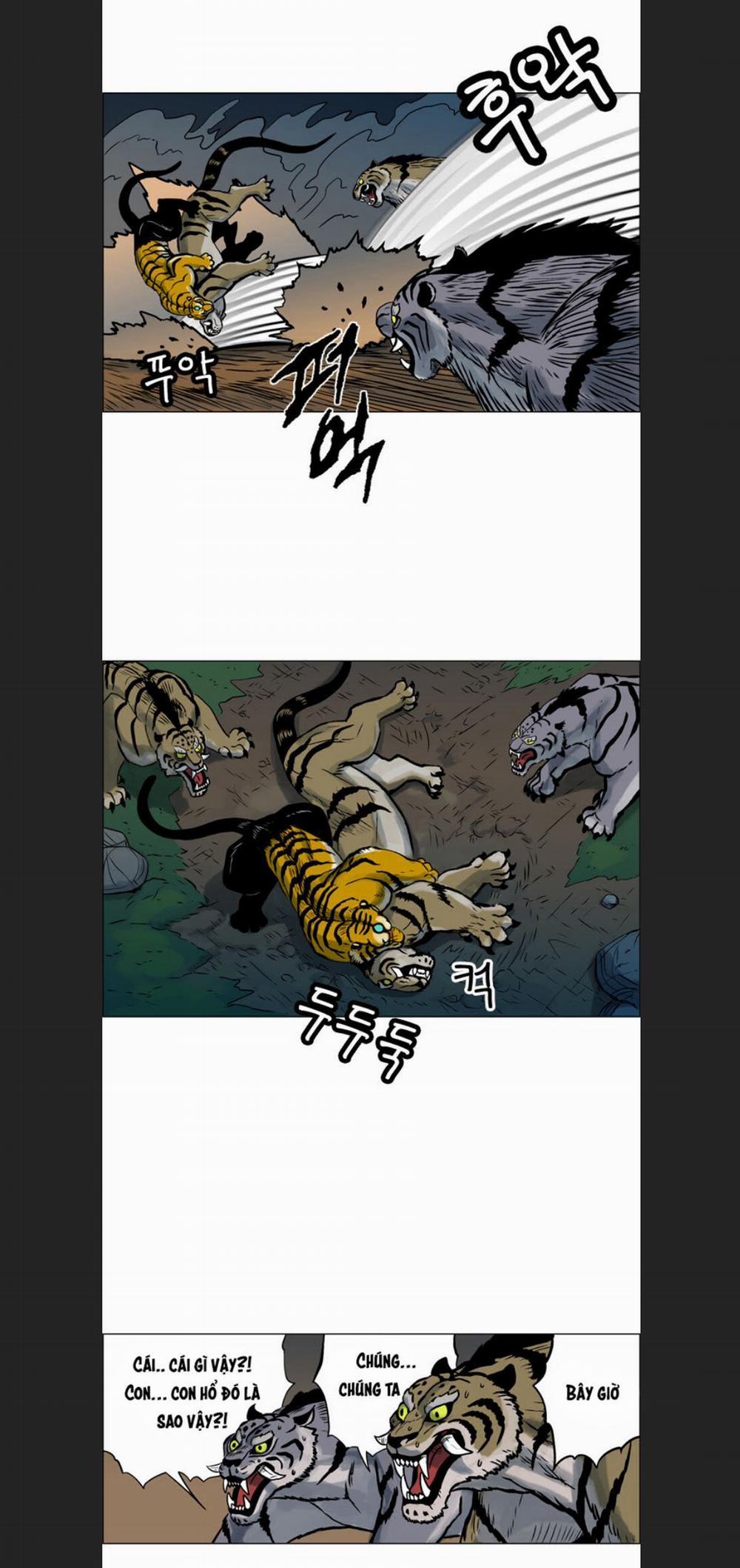 Anh Trai Tôi Là Hổ 12 trang 22
