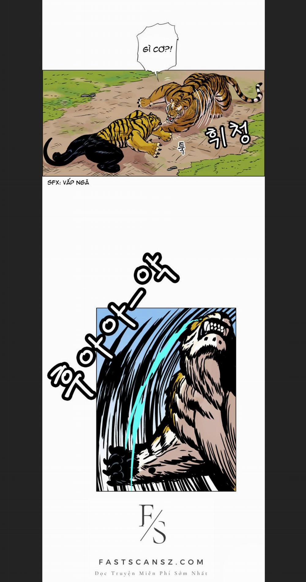 Anh Trai Tôi Là Hổ 13 trang 21