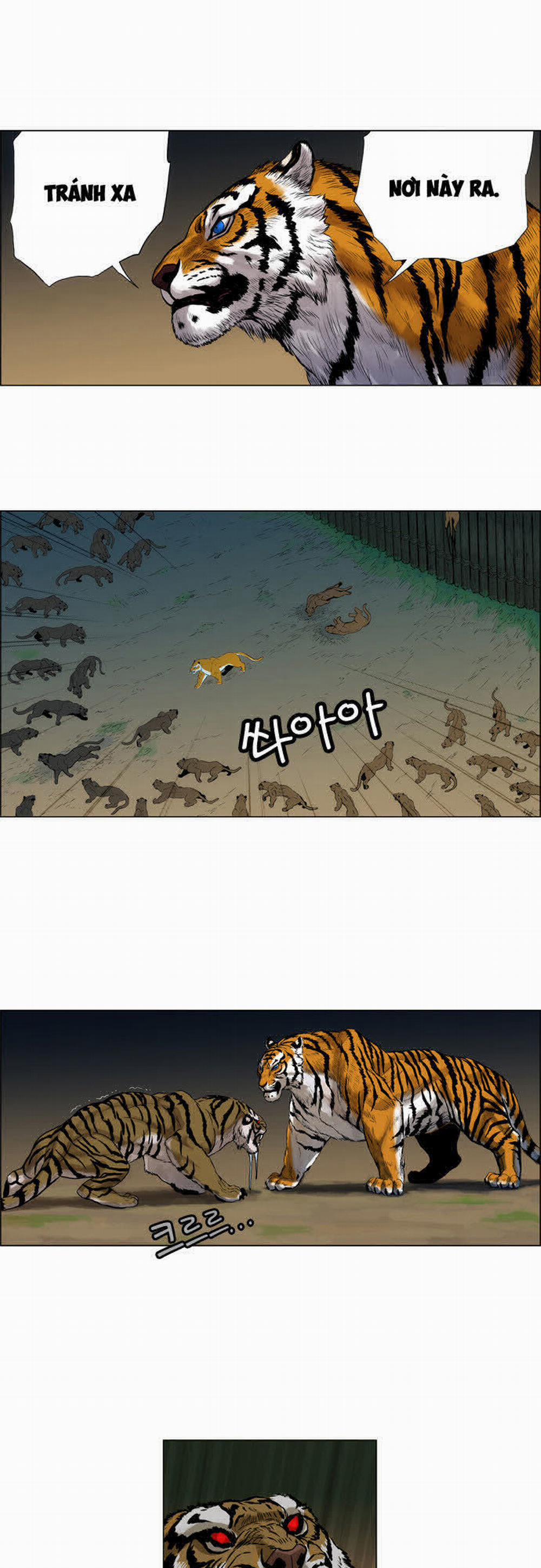 Anh Trai Tôi Là Hổ 2 trang 30