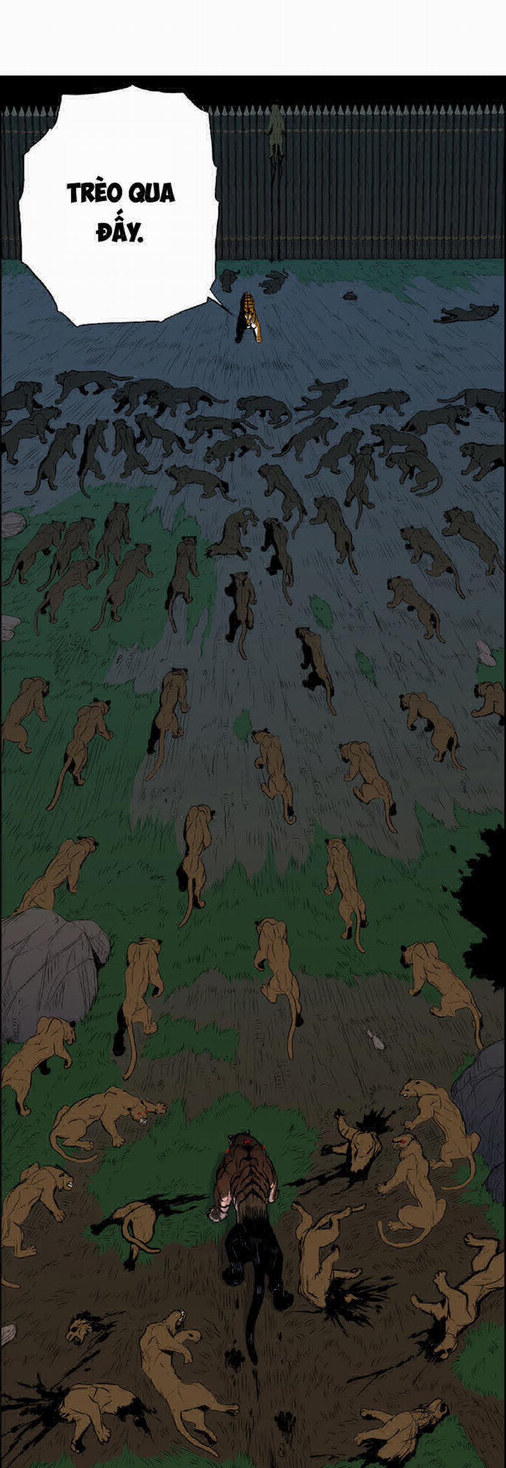 Anh Trai Tôi Là Hổ 2 trang 51