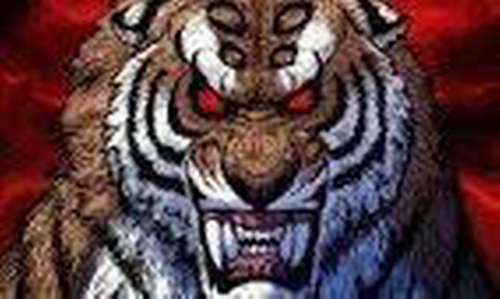 Anh Trai Tôi Là Hổ 5 trang 0