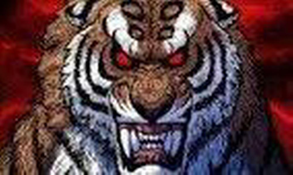 Anh Trai Tôi Là Hổ 6 trang 0