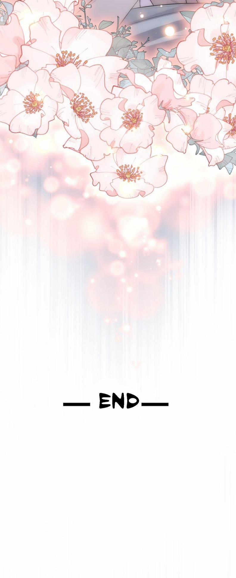 Ảnh Vệ Khó Làm 49 trang 17