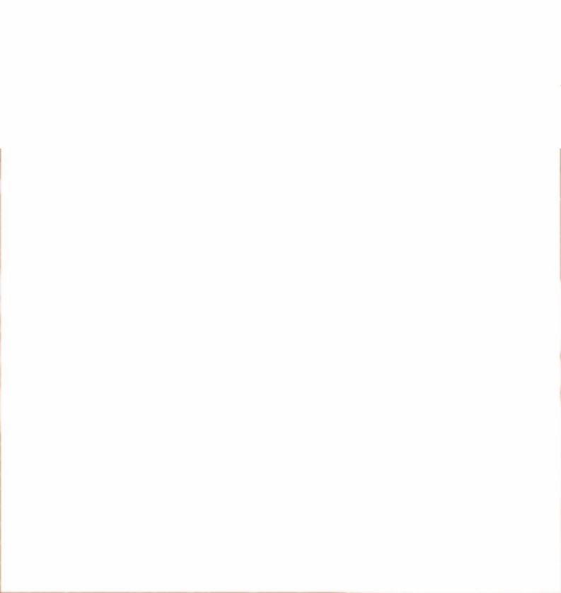 Ảnh Vệ 35 trang 6