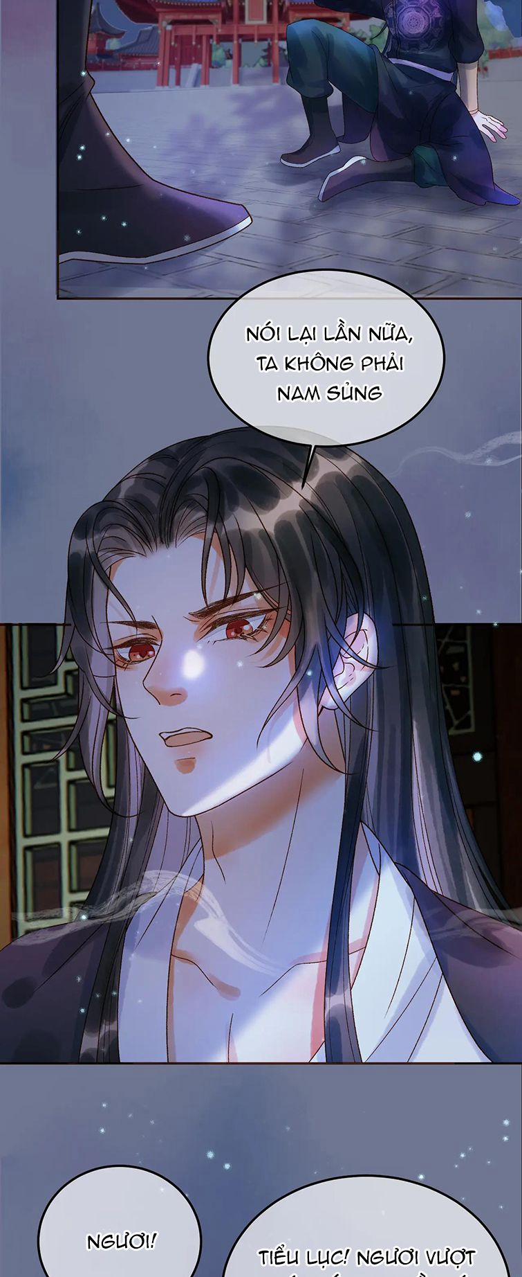 Ảnh Vệ 36 trang 21