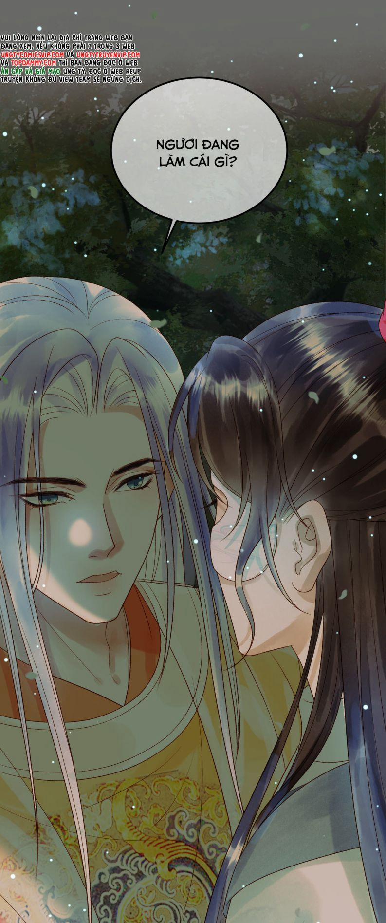 Ảnh Vệ 65 trang 26