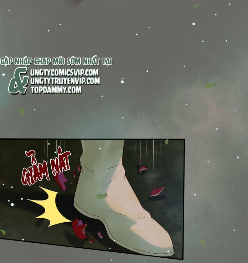 Ảnh Vệ 66 trang 11