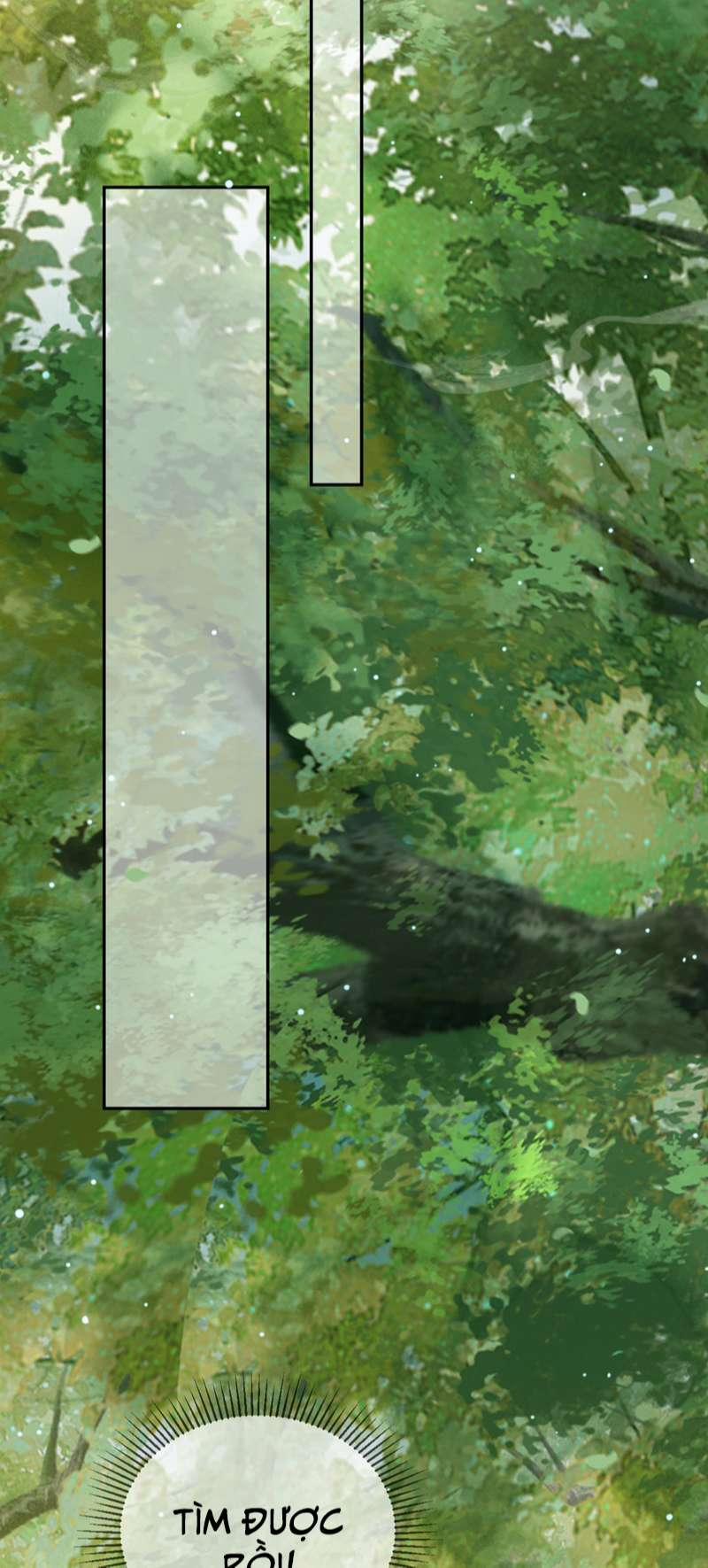 Ảnh Vệ 80 trang 22