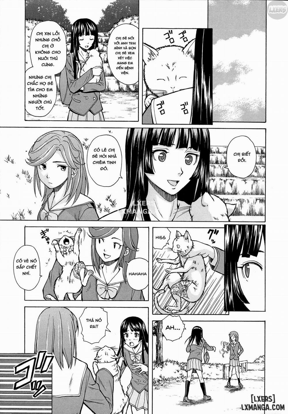 Ani to Imouto no Jijou 2 trang 47