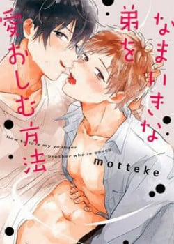 Đọc truyện tranh Aniki Wo Aegasu Houhou