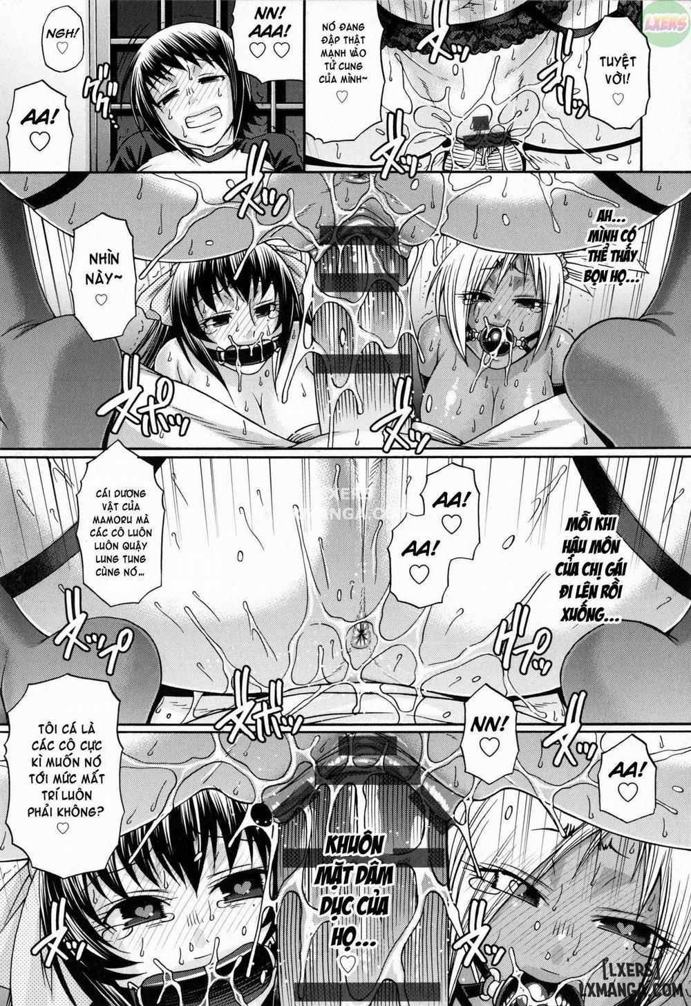 Animal Assort 7 trang 12