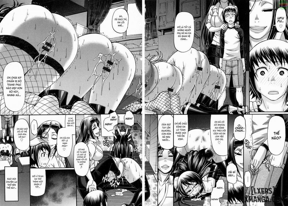 Animal Assort 7 trang 4