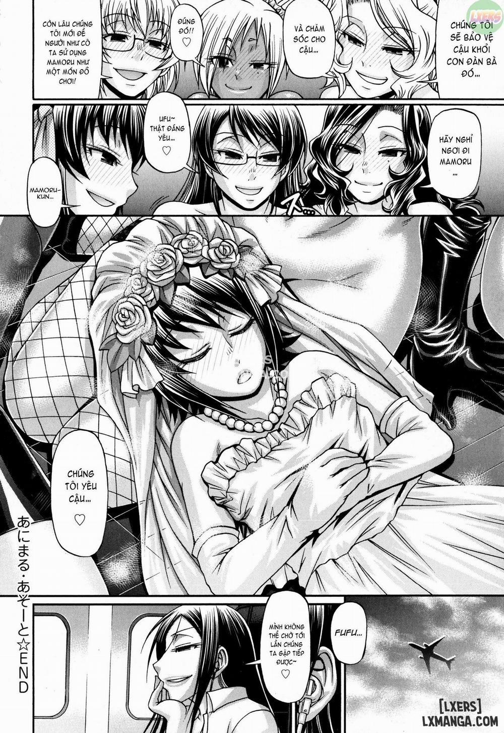 Animal Assort 8 trang 21