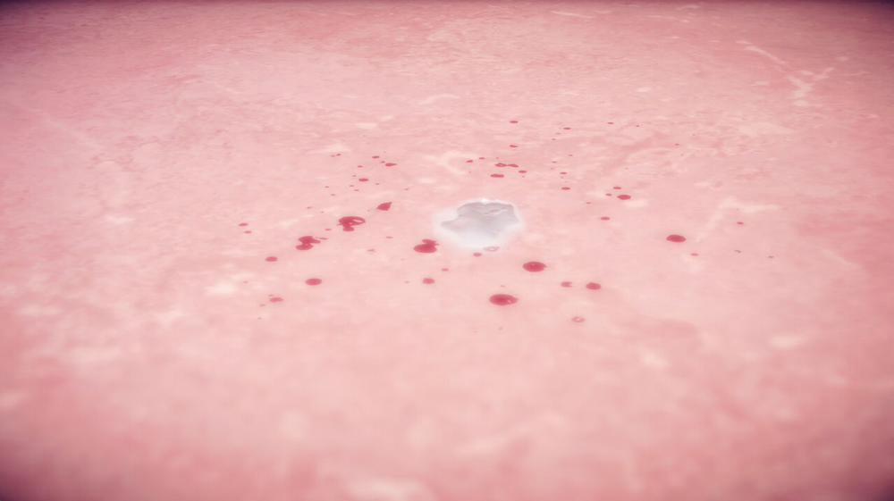 Ann and Joe 10 0 11 trang 44