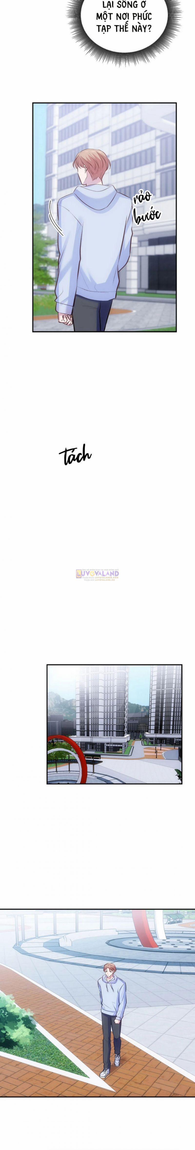 Antidote Bl 11 trang 4