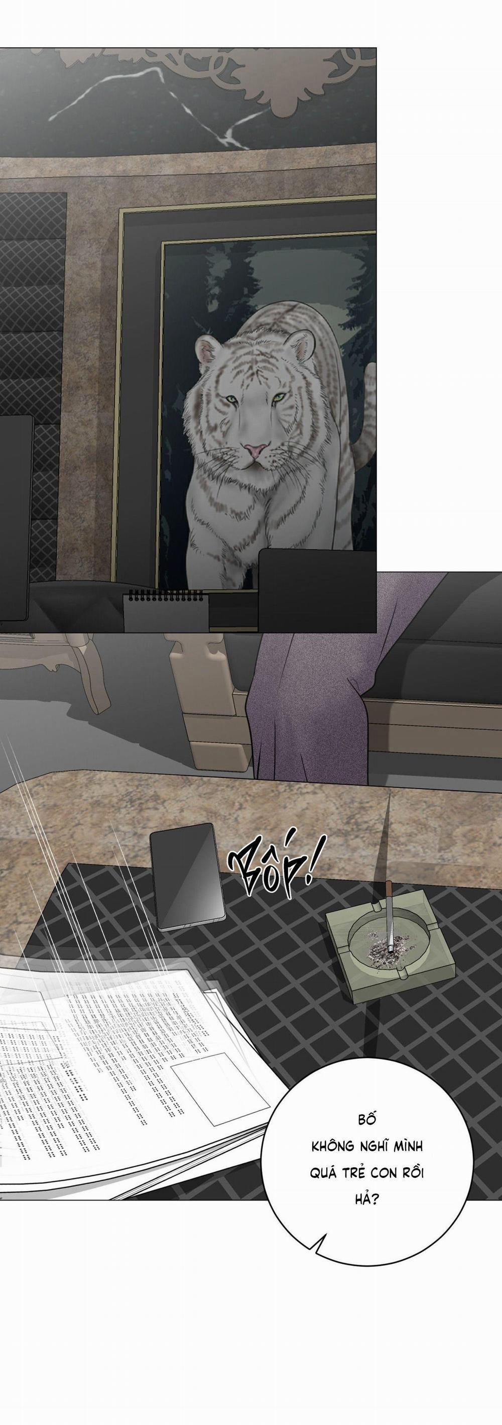 Ảo Ảnh 19 0 trang 12